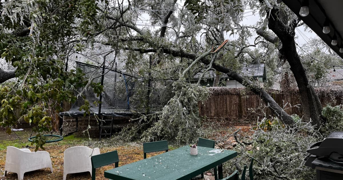 My frozen back yard with branches falling onto the kids trampoline