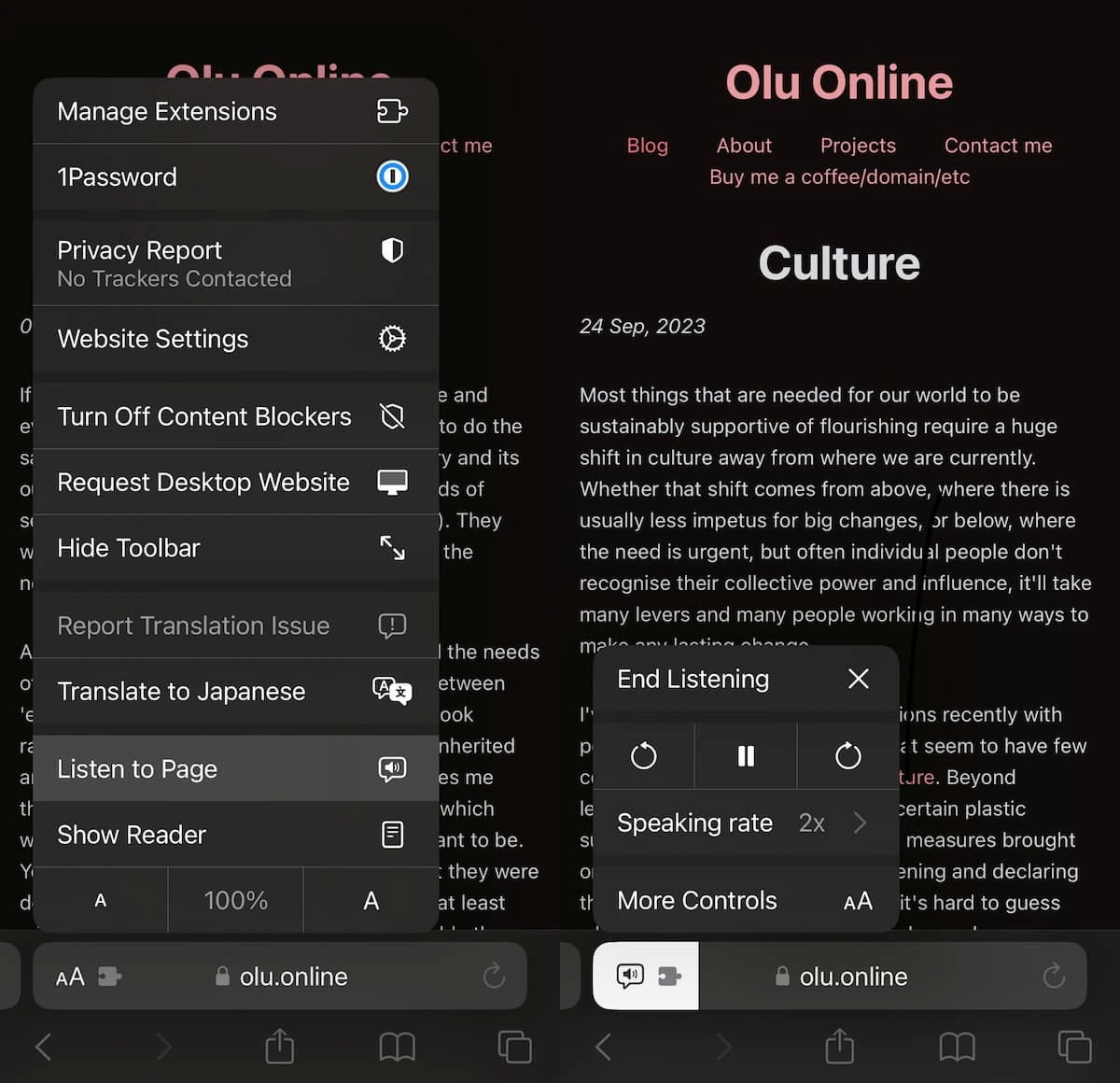 Screenshot of the iOS menu bar options in mobile safari 17 to control the Listen to Page functionality